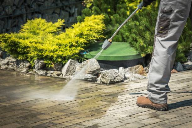 Best Roof Washing  in Massapequa Park, NY